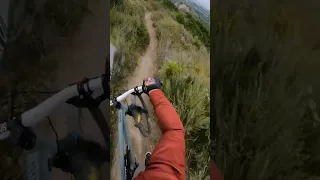 Hardtail Or Full Suspension?