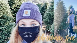 COME CUT AND DECORATE OUR CHRISTMAS TREE WITH US: christmas tree farm vlog 2020 | polina