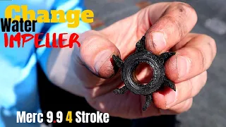 How to Change Water Impeller Mercury 9.9 4 Stroke