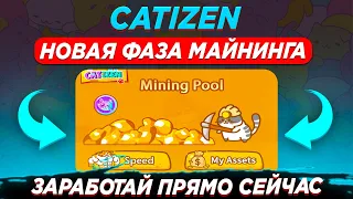 МАЙНИНГ В ИГРЕ CATIZEN | КАК ЗАРАБОТАТЬ БЕЗ ВЛОЖЕНИЙ НА ИГРЕ CATIZEN? | ЛИСТИНГ CATIZEN СКОРО