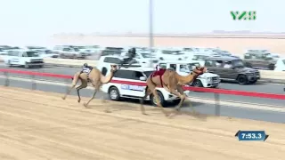 فوز "خود" لهجن الشحانية الشوط الأول من آخر أيام المرموم