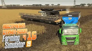 Farming Simulator 19 ч16 - 16 с половиной недель