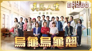 【美麗人生 壯志高飛】第260集 烏龜烏龜翹 | 台視60週年大戲 | Life is Beautiful S5 EP260 【全】