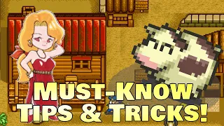 11 Useful Tips & Tricks for Harvest Moon on the SNES!