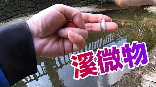 【夯魚癡】溪微物，成功完成了目標