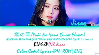 [Color Coded (JPN|ROM|ENG)] BLACKPINK Jisoo - Yuki No Hana (Live in Kyocera Dome Osaka 2018) | LD15