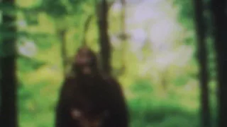 New Evidence-Vermont man takes photo of Bigfoot=2016