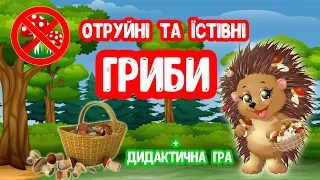 Отруйні та Їстівні ГРИБИ презентація для дітей Дидактична Гра