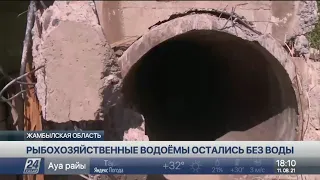 Рыбохозяйственные водоемы остались без воды в Жамбылской области