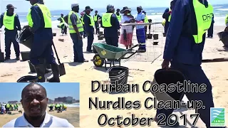 Nurdles pollution clean up, Durban