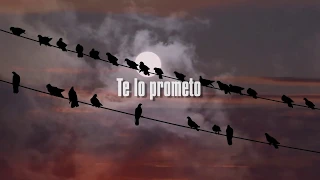 Twenty One Pilots Isle of Flightless Birds Sub Español