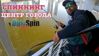 СПИННИНГ В ГОРОДЕ. Удалось поймать ЭТУ РЫБУ. Рыбалка с #OnlySpin