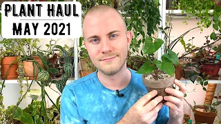 Houseplant Haul | May 2021