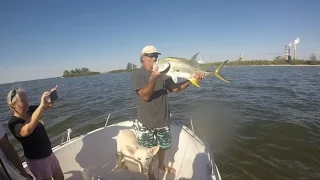 Excellent fishing trip on Tampa Bay at the Apollo Beach. #tampabayfishing #jackcrevalle #fishing