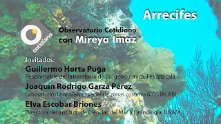 Arrecifes. Observatorio con Mireya Ímaz y Guillermo Horta Puga.