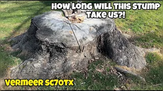 How Long Will This Stump Take Us?! Stump Grinding with the SC70TX