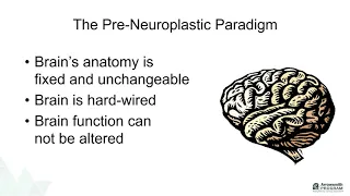 Changing Brains, Shaping the Mind – Neuroplasticity and Learning