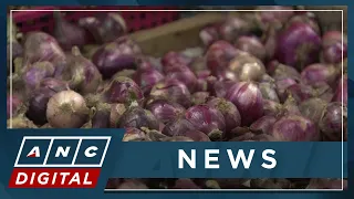 PH Agriculture Dept. sees adequate supply of onions in 2024 | ANC