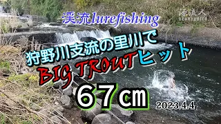 狩野川支流の里川に怪物現れる!!