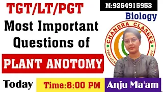 MOST IMPORTANT QUESTIONS  OF PLANT ANOTOMY   || LT || TGT || PGT || 8 PM || BY ANJU MAM