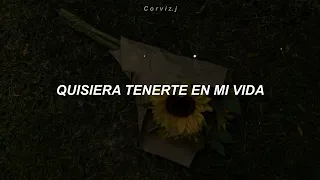 Erick El Rompecorazones  - Quisiera Amar (Letra)