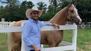 Mano Walter Mostrando a Tropa De Cavalos No Haras MW 🤠🐎🌵🇧🇷