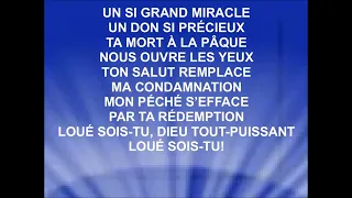 UN SI GRAND MIRACLE - Mae Andrazz (cover) David Durham