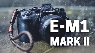 Olympus E-M1 Mark II - Best Value Professional Micro Four Thirds Camera