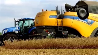 Żniwa 2016 New Holland T7.270 & T4.95 & CX5080