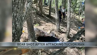 Updates on the deadly Prescott bear attack