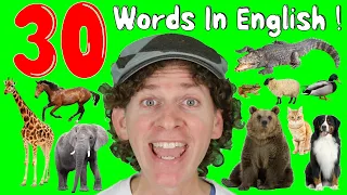 Animals | Learn 30 Words | Dream English Kids