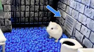 Escape from Luxury Prison Hamster Maze 🐹 Hammy the Hamster