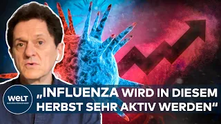 CORONA UND MEHR: Virologe erwartet Rückkehr der Influenza und anderer Erreger