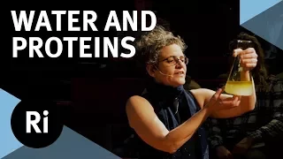 The Physics of Life: How Water Folds Proteins - with Sylvia McLain