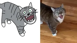 MEME DRAWING #01 | BEST DANK CAT MEMES COMPILATION OF 2020 PART 10 (from TikTok)