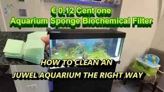 HOW TO CLEAN AN JUWEL AQUARIUM THE RIGHT WAY 🐠🐟