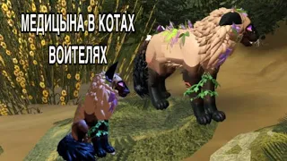 МЕДИЦЫНА в котах воителях. Для чего нужны травы?! Warrior cats wcue. / Roblox 🐈‍⬛