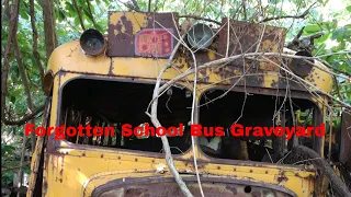Forgotten School Bus Graveyard