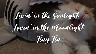 Livin’ in the Sunlight, Lovin’ in the Moonlight - Tiny Tim - Lyrics