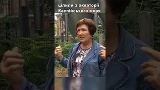 "Все в крові, всі плачуть!". Ракетний удар по м. Дніпро: деталі і наслідки