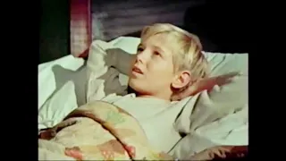 Movie Kids series  :  1958 -  " The proud rebel "  starring   Alan and David Ladd