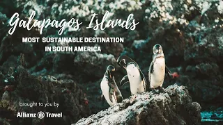 Galapagos Islands - The Most Sustainable Destination in South America