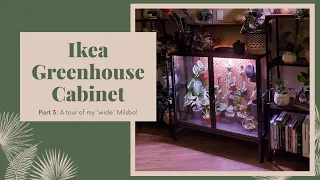 IKEA Greenhouse Cabinet Tour! (NEW *Wide* Milsbo Edition!)