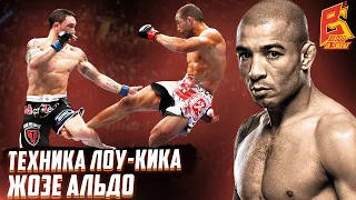 Быстрый, мощный лоу-кик Жозе Алдо / Техника удара лоу кик бойца UFC / Дмитрий Суродеев ММА