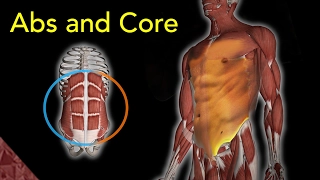 Abs and Core workout at home. For athletes (Especially swimmers)