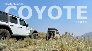 EPIC Overlanding Trip to Coyote Flats | 3 Jeeps Off Road at 10,000 Feet in Elevation