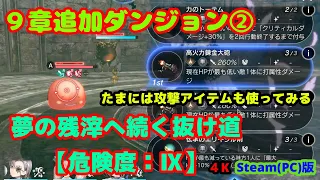 【レスレリ】 夢の残滓へ続く抜け道 【危険度：Ⅸ】 たまには攻撃アイテムも活用してみよう  (PC版 4K)