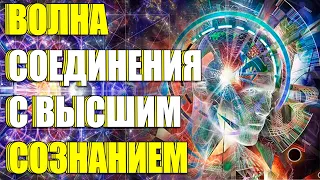 ВОЛНА СОЕДИНЕНИЯ С ВЫСШИМ СОЗНАНИЕМ | Абсолютный Ченнелинг