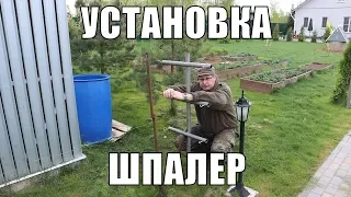 Свой сад. Шпалера для малины размеры и установка.