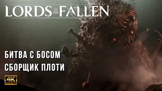 Lords of the Fallen (2023) PC - Как Убить Босса Сборщик Плоти - Boss The Congregator Of Flesh